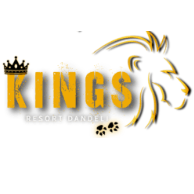 Kings Resorts